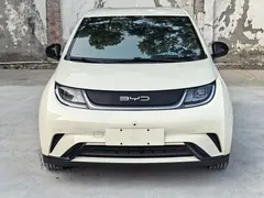 2023 BYD Dolphin 420km Freedom, белый — фото 2