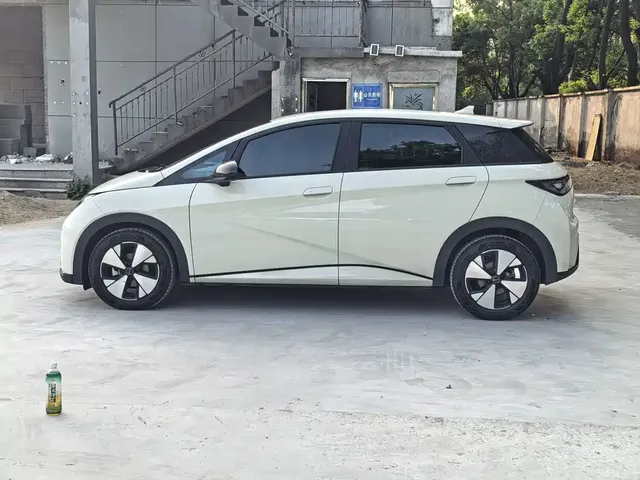 2023 BYD Dolphin 420km Freedom