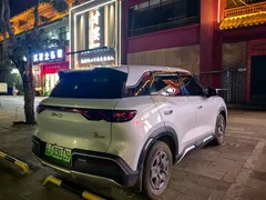 2025 BYD Yuan UP EV 301km Pilot — фото 4