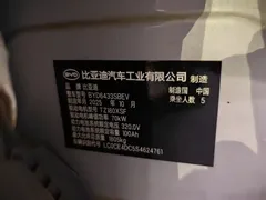 2025 BYD Yuan UP EV 301km Pilot — фото 10