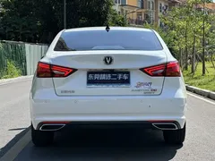 2021 Changan Raeton PLUS Blue Whale 1.5T DCT Luxury, белый — фото 21