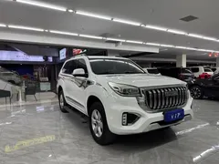 2022 Haval H9 2.0T Petrol 4WD Luxury 7-seat, белый — фото 3