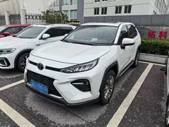 2020 Toyota Wildlander 2.0L CVT 2WD Luxury, белый — фото 1