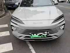 2024 BYD Song PLUS Honor DM-i PHEV 110km Flagship — фото 2