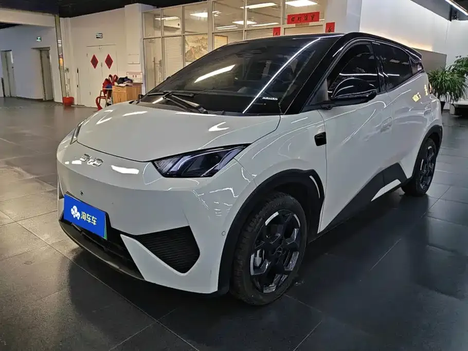 2025 BYD Seagull Smart Driving 305km Freedom