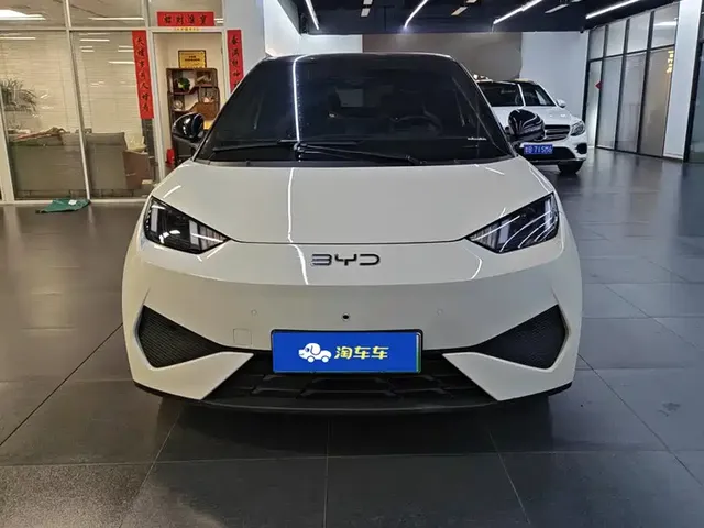 2025 BYD Seagull Smart Driving 305km Freedom
