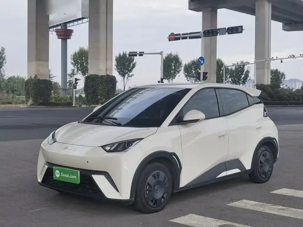 2025 BYD Seagull 305km Vitality