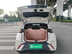 2025 BYD Seagull 305km Vitality, белый — фото 19