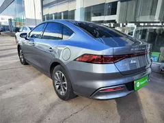 2024 BYD Qin PLUS Honor DM-i PHEV 55km Leading — фото 5