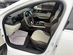 2023 BYD Qin PLUS Champion DM-i PHEV 55KM Leading, белый — фото 14