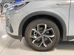 2023 BYD Yuan PLUS EV Champion 430km — фото 4