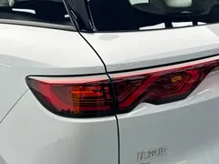 2024 BYD Yuan UP 401km Vitality — фото 11