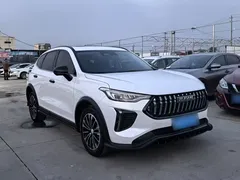 2023 Haval Chitu 1.5T Dynamic, белый — фото 10