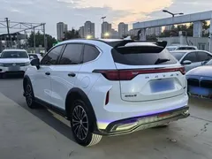 2023 Haval Chitu 1.5T Dynamic, белый — фото 12