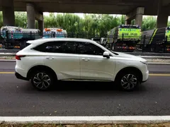 2023 Haval Xiaolong MAX 1.5L Hi4 105 PHEV 4WD Flagship, белый — фото 2