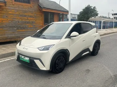 2025 BYD Seagull 305km Vitality