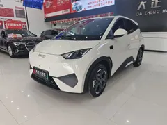 2025 BYD Seagull Smart Driving 405km Freedom, белый — фото 1