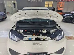 2025 BYD Seagull Smart Driving 405km Freedom, белый — фото 13