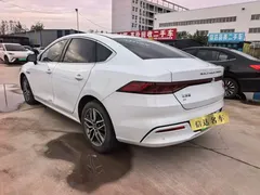 2024 BYD Qin PLUS Honor EV 510km Leading, белый — фото 4