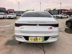 2024 BYD Qin PLUS Honor EV 510km Leading, белый — фото 5