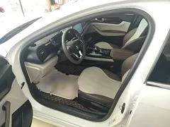 2024 BYD Qin PLUS Honor DM-i PHEV 55km Leading, белый — фото 16