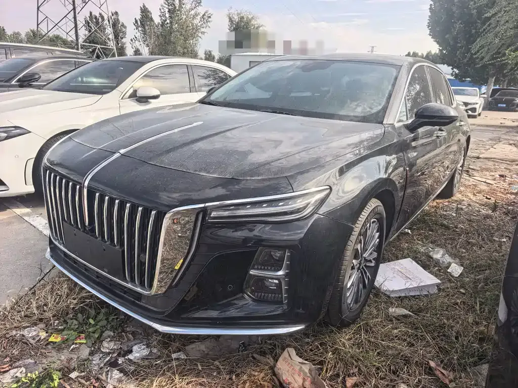 2024 Hongqi H5 1.5T DCT Zhilian Qiyun