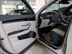 2023 BYD Song PLUS DM-i PHEV 150km Flagship Plus 5G Champion — фото 16