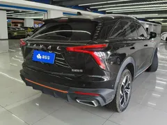 2022 Haval Shenshou 1.5T Premium, чёрный — фото 3