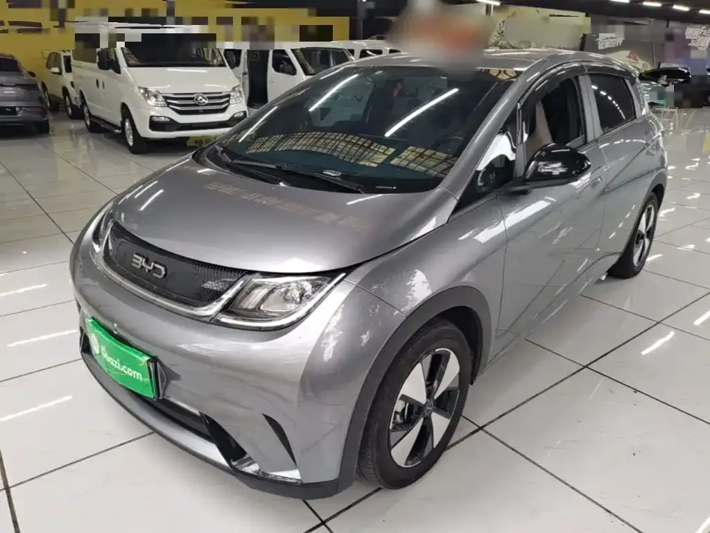 2023 BYD Dolphin 420km Freedom