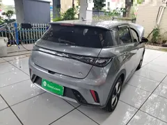 2023 BYD Dolphin 420km Freedom — фото 7
