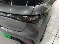 2023 BYD Dolphin 420km Freedom — фото 8