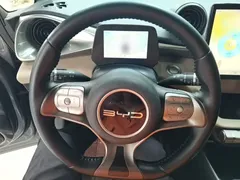 2023 BYD Dolphin 420km Freedom — фото 11
