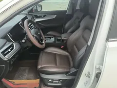 2020 Chery Tiggo 8 290TGDI AT Premium, белый — фото 15