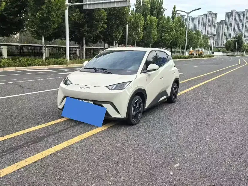 2024 BYD Seagull EV Glory 405km Flying