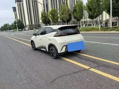 2024 BYD Seagull EV Glory 405km Flying, белый — фото 9
