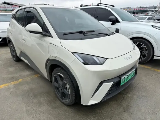 2023 BYD Seagull Freedom