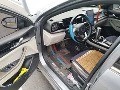 2023 BYD Qin PLUS Champion DM-i PHEV 55KM Leading — фото 17