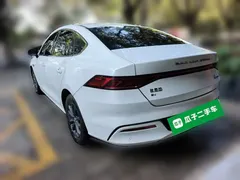 2023 BYD Qin PLUS EV 510km, белый — фото 25