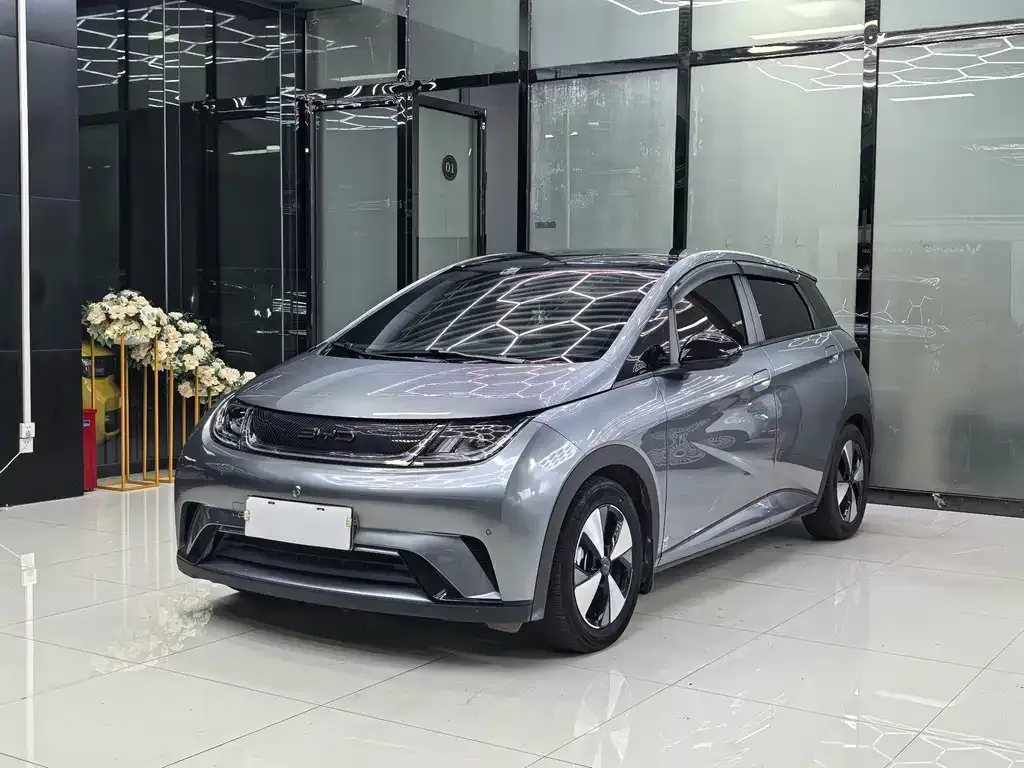 2023 BYD Dolphin 420km Fashion