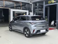 2023 BYD Dolphin 420km Fashion — фото 5