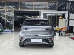 2023 BYD Dolphin 420km Fashion — фото 6