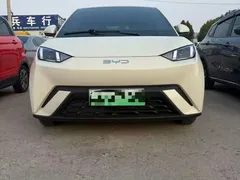2025 BYD Seagull 305km Vitality — фото 2