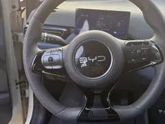 2025 BYD Seagull 305km Vitality — фото 10