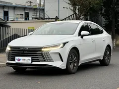 2024 BYD Destroyer 05 DM-i PHEV 55km Luxury, белый — фото 1