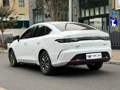 2024 BYD Destroyer 05 DM-i PHEV 55km Luxury, белый — фото 4