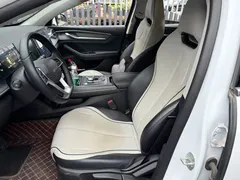 2024 BYD Destroyer 05 DM-i PHEV 55km Luxury, белый — фото 8