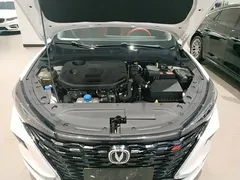 2021 Changan Eado PLUS Blue Whale NE 1.4T GDI DCT Premium, белый — фото 20