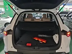 2025 BYD Song Pro 2nd Gen DM-i PHEV 75km, белый — фото 19