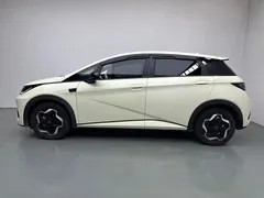 2025 BYD Dolphin Smart Driving 420km Freedom EV — фото 3