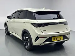 2025 BYD Dolphin Smart Driving 420km Freedom EV — фото 7